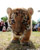Rajkumargautam's Avatar