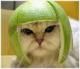 lallyza's Avatar